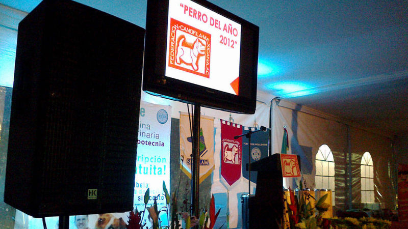 dj para eventos corporativos