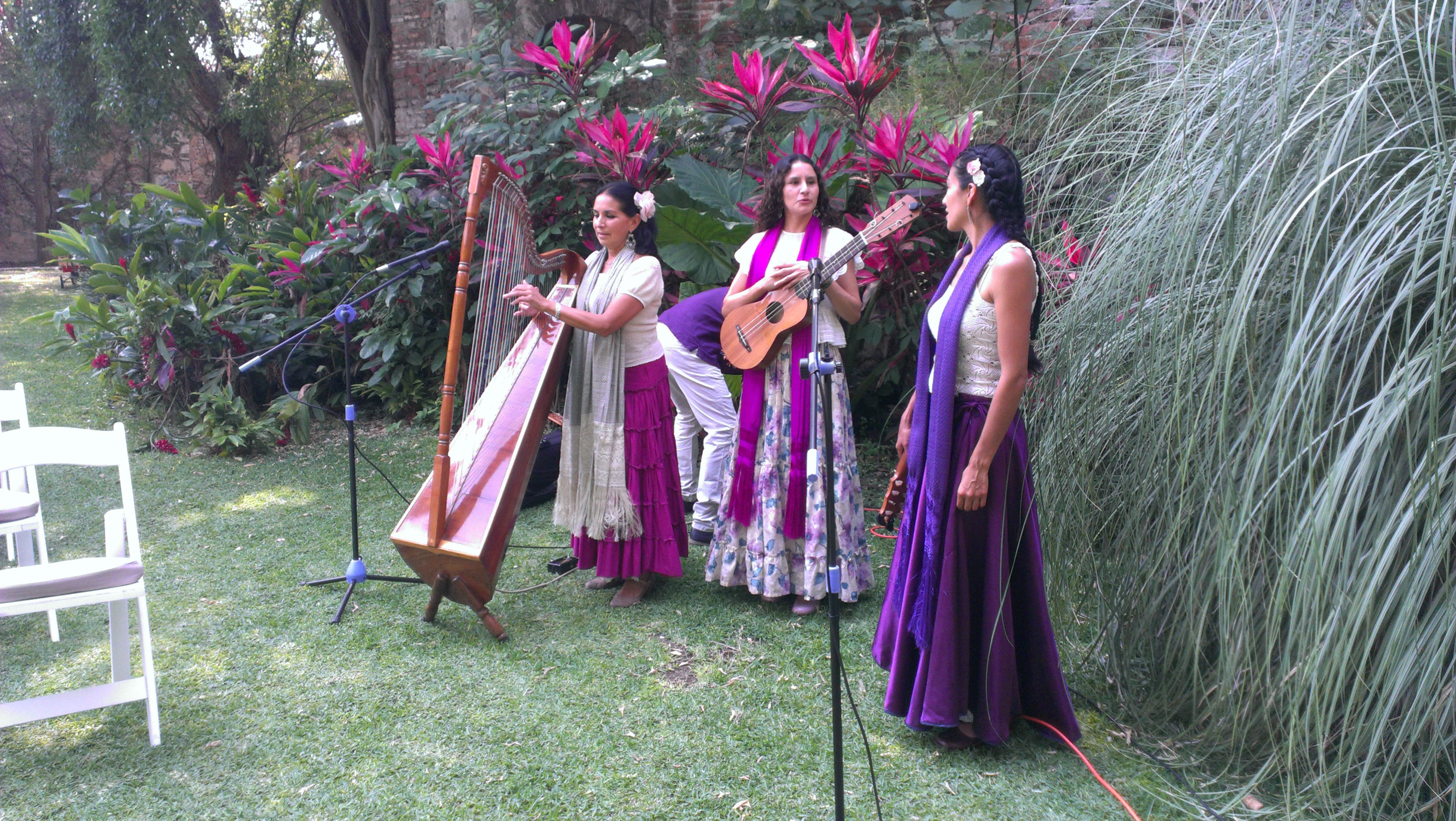 Renta de Sistemas de Audio y Bocinas HK en la CDMX 2024